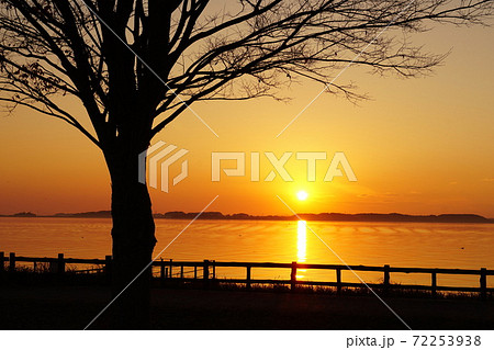 師走の夕焼け 金色に輝く茨城県霞ヶ浦の夕陽 晩秋の風景 師走の夕焼け 金色に輝く茨城県霞ヶ浦の夕陽 晩秋の風景 72253938
