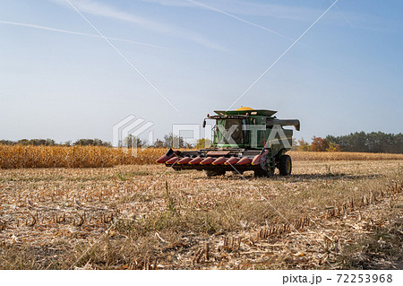 Harvesting ripe dry corn in the field with a green harvester Harvesting ripe dry corn in the field with a green harvester 72253968