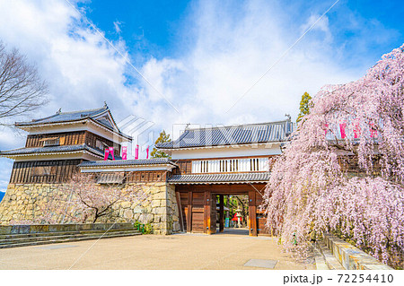 上田城の桜　【長野県】 72254410