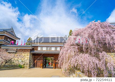 上田城の桜　【長野県】 72254411