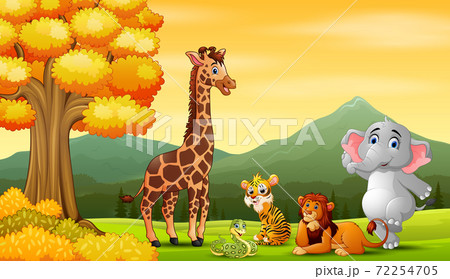 Group of animals in the autumn landscape Group of animals in the autumn landscape 72254705