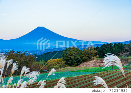 (静岡県)箱根西麓の野菜畑と富士山 (静岡県)箱根西麓の野菜畑と富士山 72254982