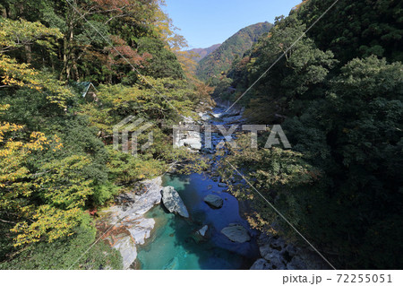 徳島県三好市、秋の「祖谷のかずら橋」 徳島県三好市、秋の「祖谷のかずら橋」 72255051