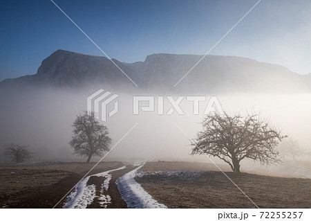 amazing winter landscape with fog and frosty trees in Romania amazing winter landscape with fog and frosty trees in Romania 72255257