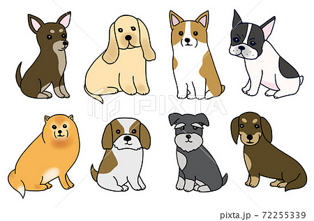 8種類の犬種の小型犬と中型犬のイラスト素材