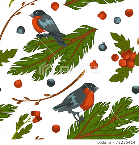 Bullfinch bird sitting on pine tree branch pattern Bullfinch bird sitting on pine tree branch pattern 72255414