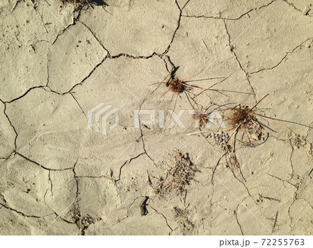 レッド・ロック・キャニオン(地面) 72255763