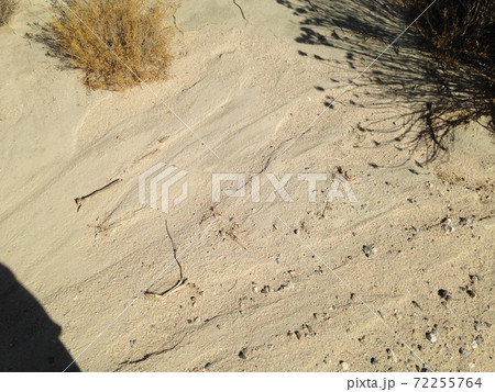 レッド・ロック・キャニオン(地面) レッド・ロック・キャニオン(地面) 72255764