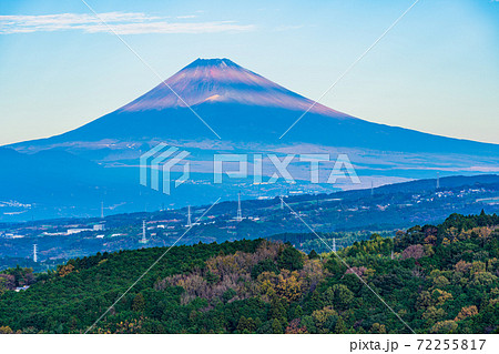 (静岡県)箱根西麓の野菜畑 富士山 (静岡県)箱根西麓の野菜畑 富士山 72255817