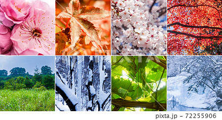 春夏秋冬の背景画像の写真素材
