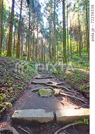 阿蘇のパワースポット上色見熊野座神社参道 72256336