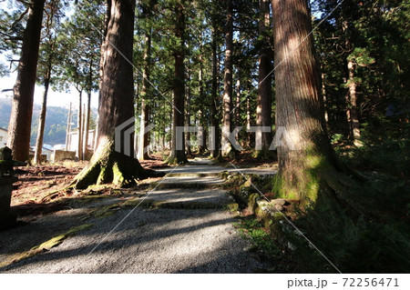 境内（雄山神社　富山） 72256471
