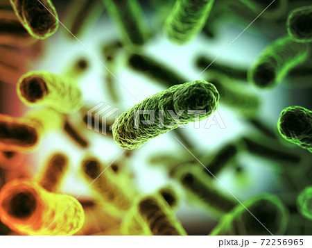 Bacteria 3d rendering Bacteria 3d rendering 72256965
