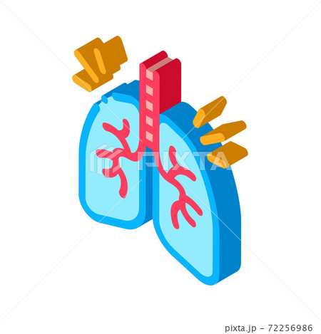 healthy lungs isometric icon vector illustration color healthy lungs isometric icon vector illustration color 72256986