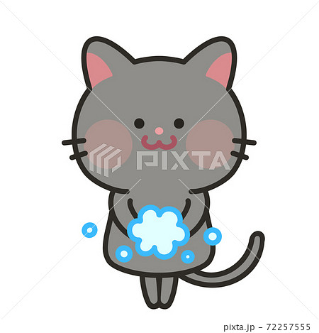 手を洗う猫　感染予防対策 72257555