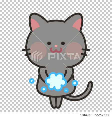 手を洗う猫　感染予防対策 72257555