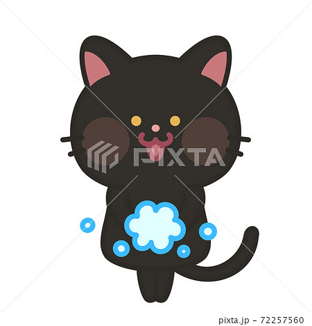 手を洗う猫　感染予防対策 72257560