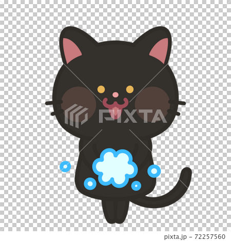 手を洗う猫　感染予防対策 72257560