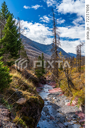 Red Rock Canyon in autumn foliage season morning. Blue sky, white clouds and mountains in the background. Waterton Lakes National Park, Alberta, Canada. 72257606