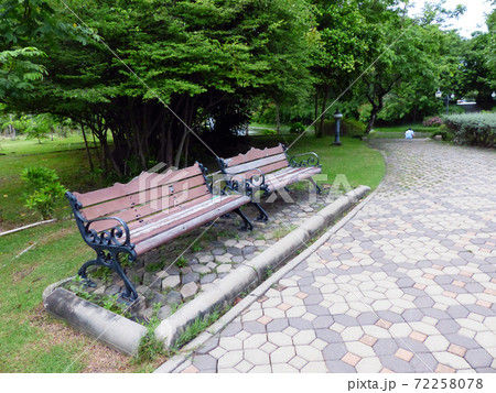 Old Wooden Bench in the garden Old Wooden Bench in the garden 72258078