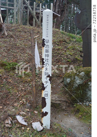 早池峰神社 72258758