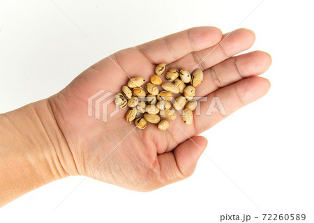 豆菓子 豆菓子 72260589