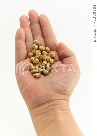 豆菓子 豆菓子 72260593