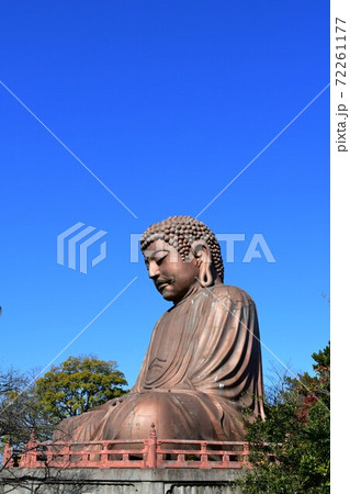 聚楽園大仏と紅葉 72261177