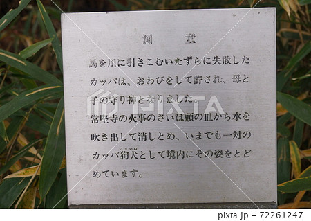 カッパ淵 常堅寺 カッパ淵 常堅寺 72261247