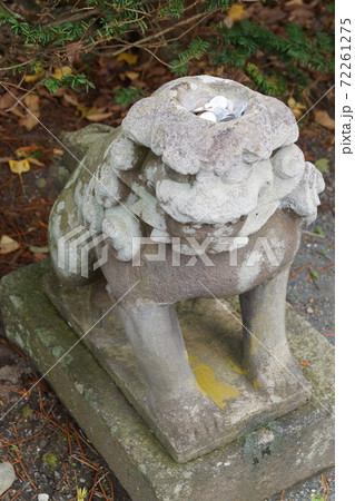カッパ淵 常堅寺 72261275
