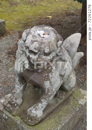 カッパ淵 常堅寺 カッパ淵 常堅寺 72261276