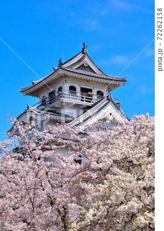 桜景　長浜城 72262158