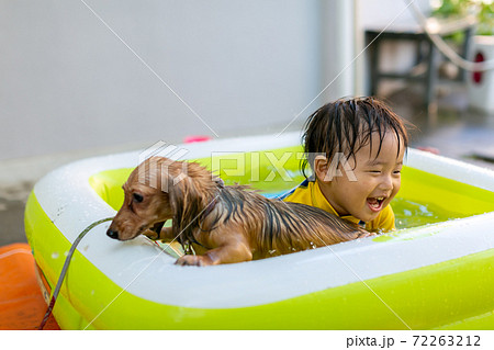 夏休みの一コマ 愛犬と水遊び 夏休みの一コマ 愛犬と水遊び 72263212