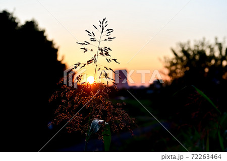 夕景素材 72263464