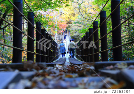 花貫渓谷の吊り橋　秋の紅葉 72263504