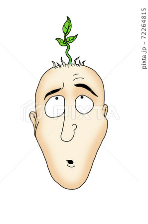 Cartoon illustration of a bald young man growing tayos, plants and herbs on his head 72264815