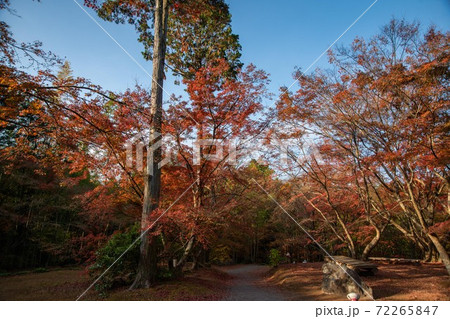 紅葉の庭園　三十路苑　長崎県雲仙市 72265847