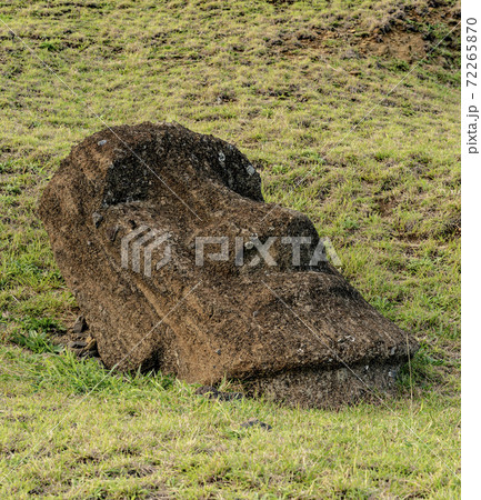 Moai Statues on Easter Island at the Rano Raraku Quarry Moai Statues on Easter Island at the Rano Raraku Quarry 72265870