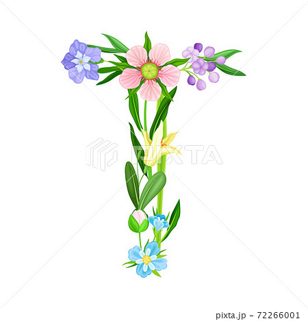 Fresh Flowers and Plants Arranged in Alphabet Letter Shape Vector Illustration Fresh Flowers and Plants Arranged in Alphabet Letter Shape Vector Illustration 72266001