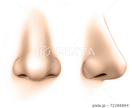 human nose isolates on white background human nose isolates on white background 72266804
