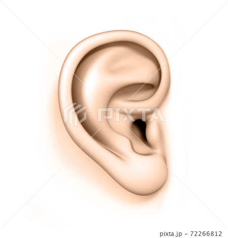 human ear isolated on a white background human ear isolated on a white background 72266812