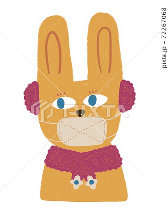 マスクで風邪予防するウサギ 72267068