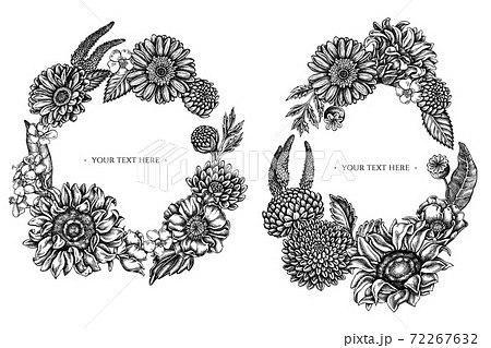 Floral Wreath of black and white poppy flower, gerbera, sunflower, milkweed, dahlia, veronica Floral Wreath of black and white poppy flower, gerbera, sunflower, milkweed, dahlia, veronica 72267632