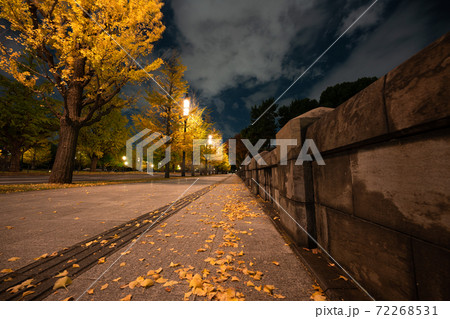 丸の内の夜景 72268531