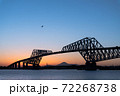 東京ゲートブリッジ 72268738