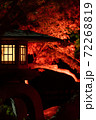 八芳園の紅葉ライトアップ 72268819