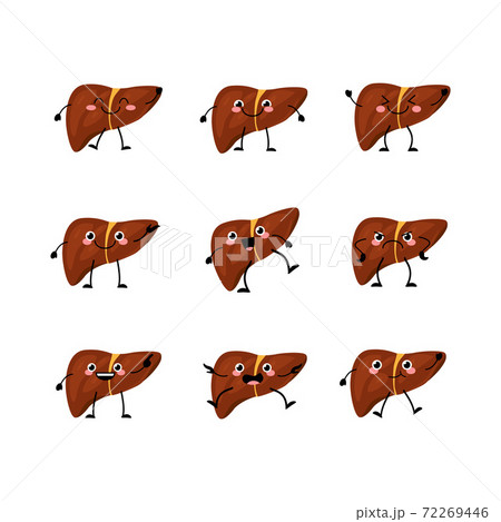 Cute liver organs character set in a flat cartoon style. 72269446