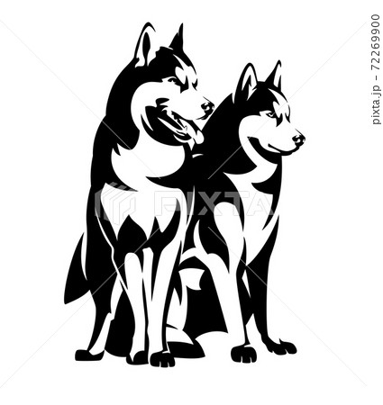 black vector outline of siberian husky dog sitting and standing 72269900