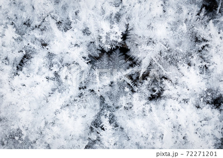 Snow and frost on the ground, background or texture Snow and frost on the ground, background or texture 72271201