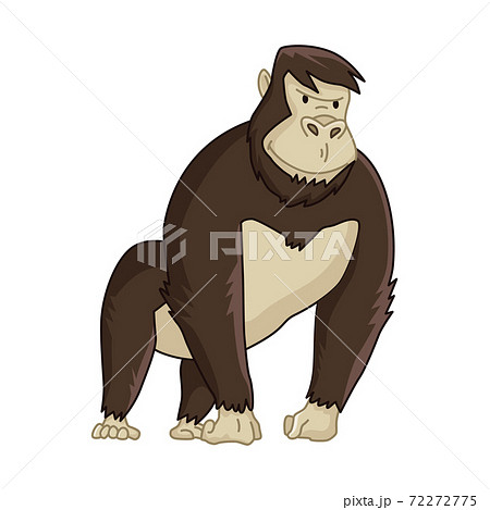 Cute funny monkey colorful cartoon illustration. Vector little chimpanzee. Wildlife character. Great ape stands Cute funny monkey colorful cartoon illustration. Vector little chimpanzee. Wildlife character. Great ape stands 72272775